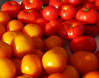 Tomatoes - Farmers Market ~~Explore #171