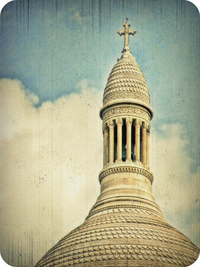 I Can't Believe I Climbed Up There.