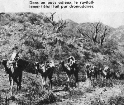 1941- Erythrée- ravitaillement - ADFL