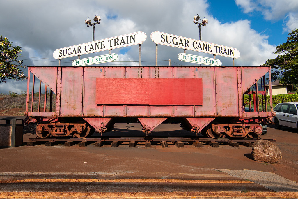 Sugar Cane Train