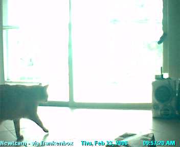 newtcam022306-0957