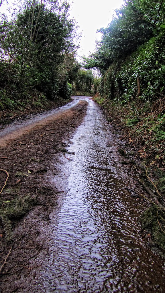 Wellie walking