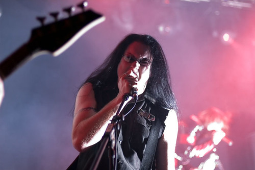 Kreuzdammer live
