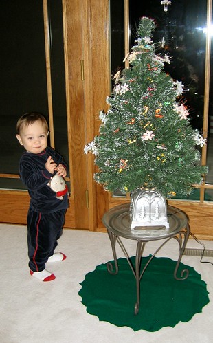 The Little Christmas Tree