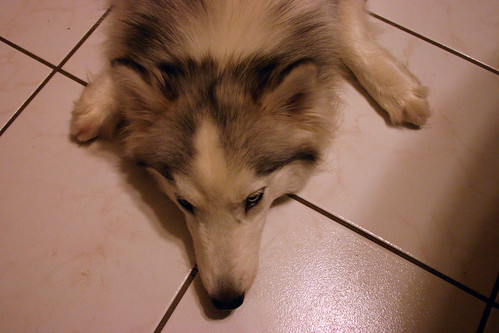 Tatiana on the Floor