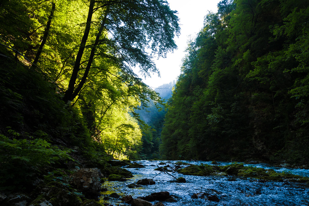 Vintgar Gorge 3