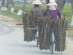 Vietnam - Dien Bien Phû