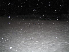 Snowing in the night