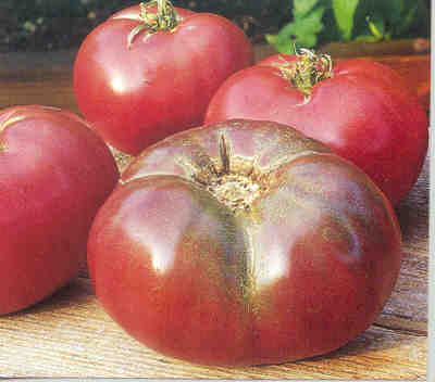 heirloom tomato!