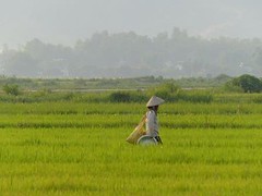 Vietnam - Dien Bien Phû