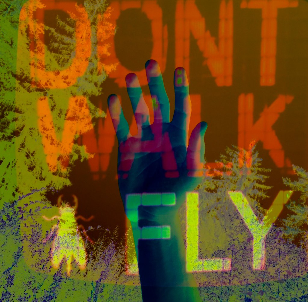 don't walk, fly