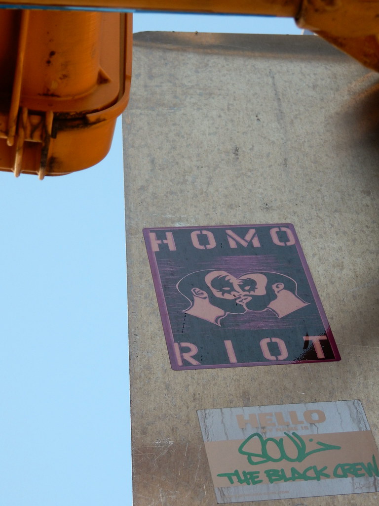 Homo Riot