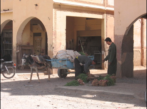 Zagora-et-Ouarzazate-2010-2446