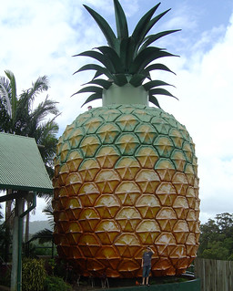 DSC00596 - Giant Pineapple
