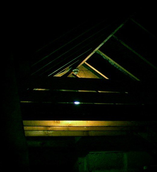 attic