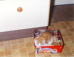 You ain't seen me, right?