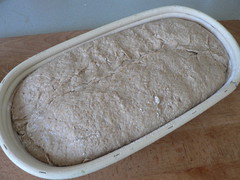 Bread B 003