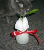 I don't care if it's not for me... it's MINE!!