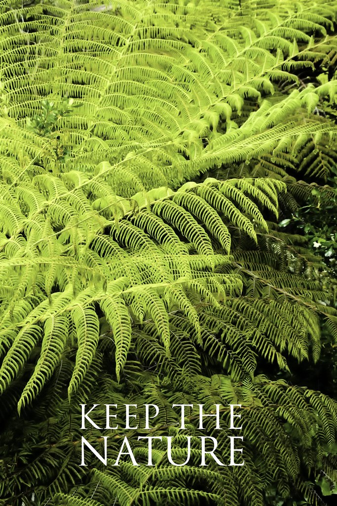 Nature (Salam Ma'al Hijrah)