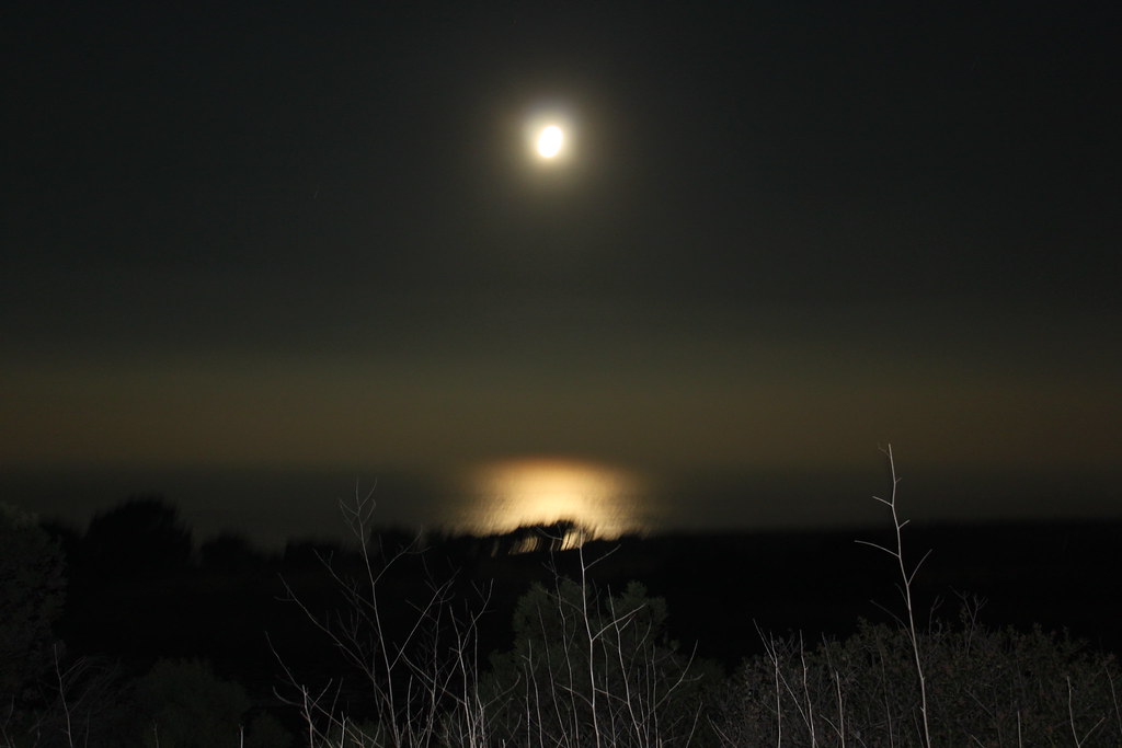 moonlight