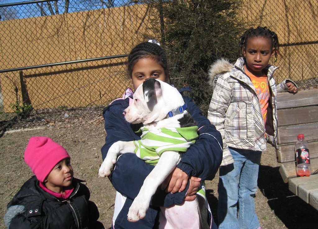 "Decisive moment" Children at the dog park with little rascals dog