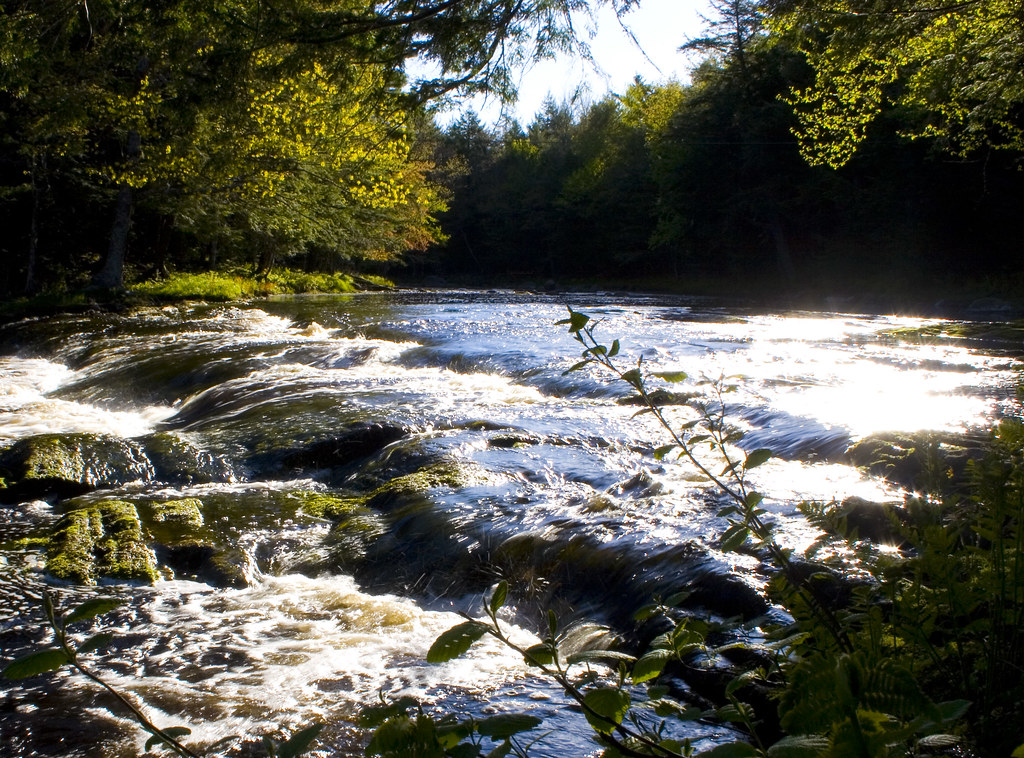 Mersey River