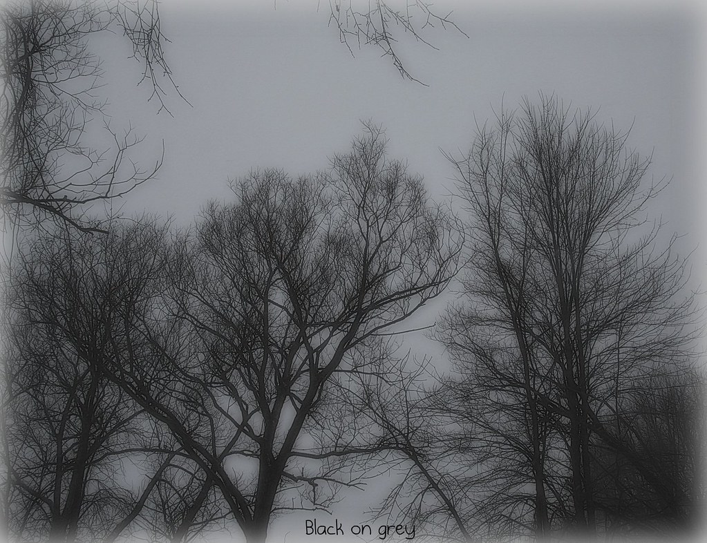 Branches