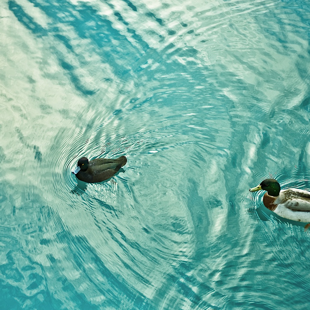 water