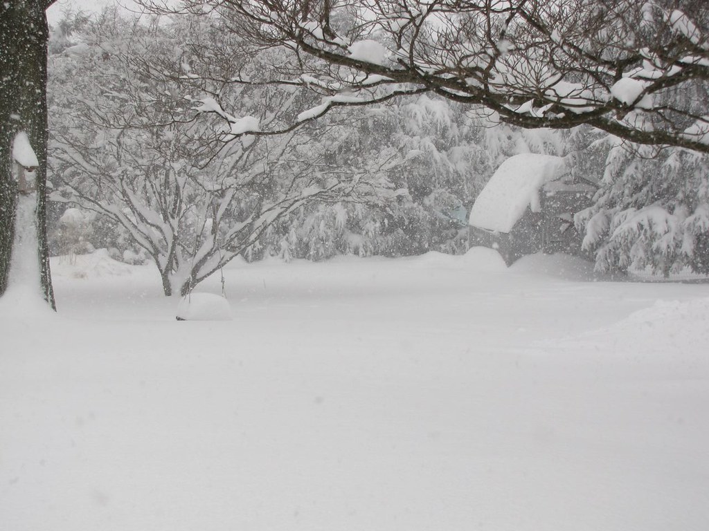 Big Snow Back Yard Oak Tree Swing 2