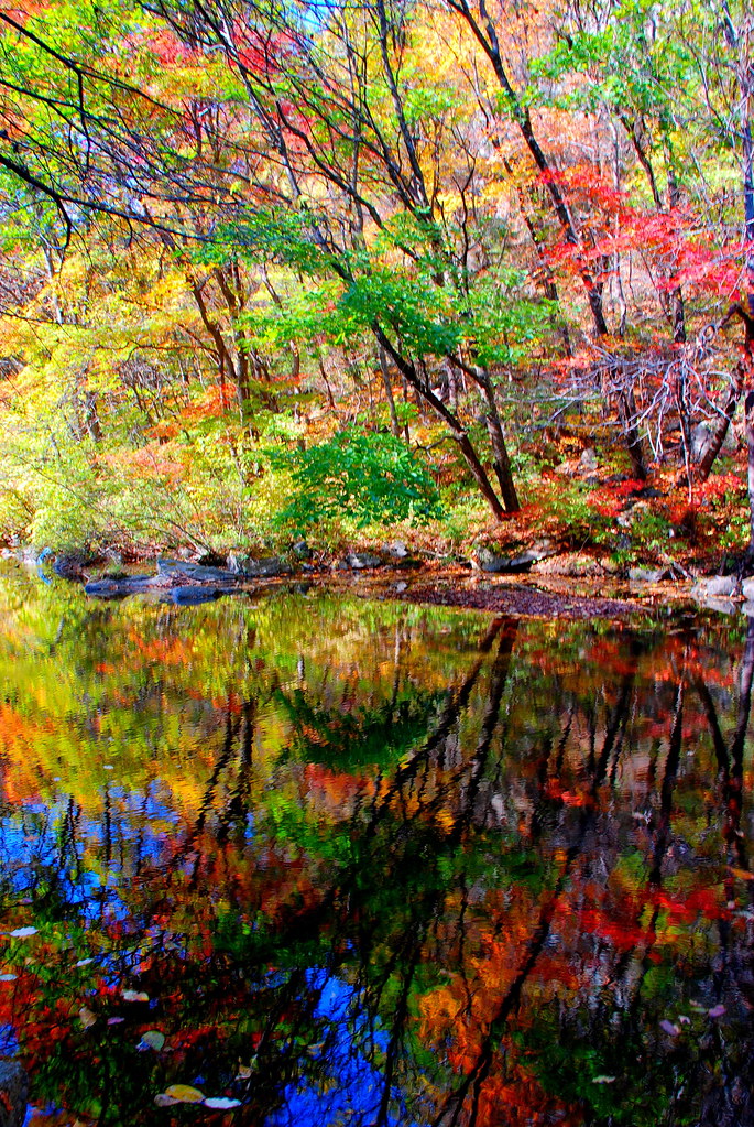 Season's painting
