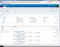 IBM Case Manager Runtime - CSR role view in portal