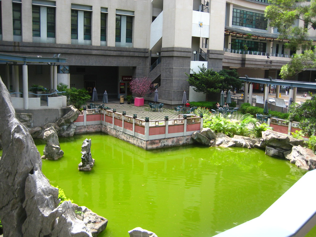A Pond at Lingnan University
