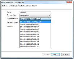 Silver BPM create a new instance - select software