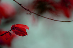 Japanese painting