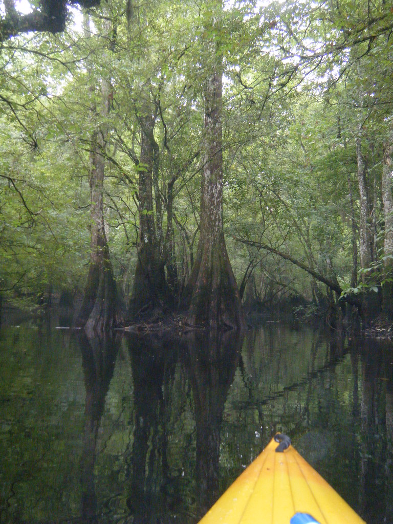 Cypress Trio