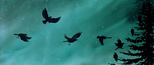 Northern Lights Crows Roost