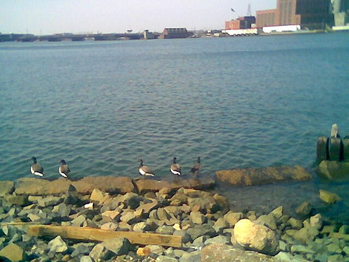 Image033.jpg