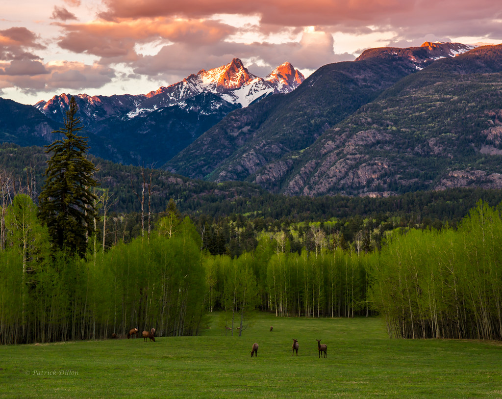 Elk Heaven