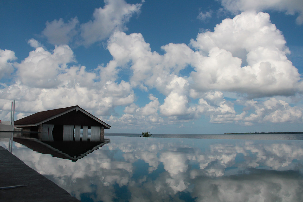 Bira