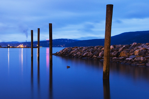 Reflections of Tranquility