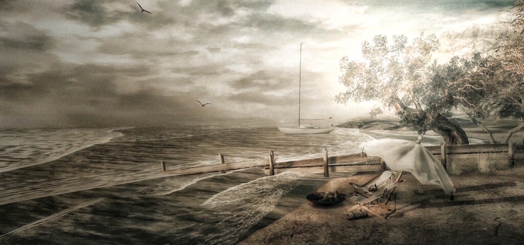 Calm Morning