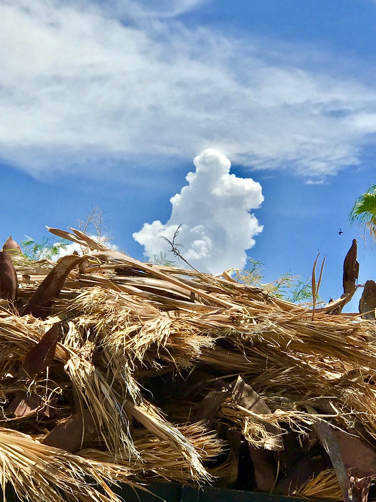 Rising Above...