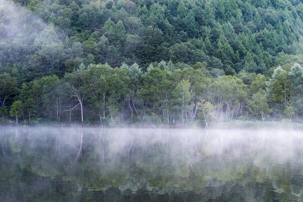 Morning mist