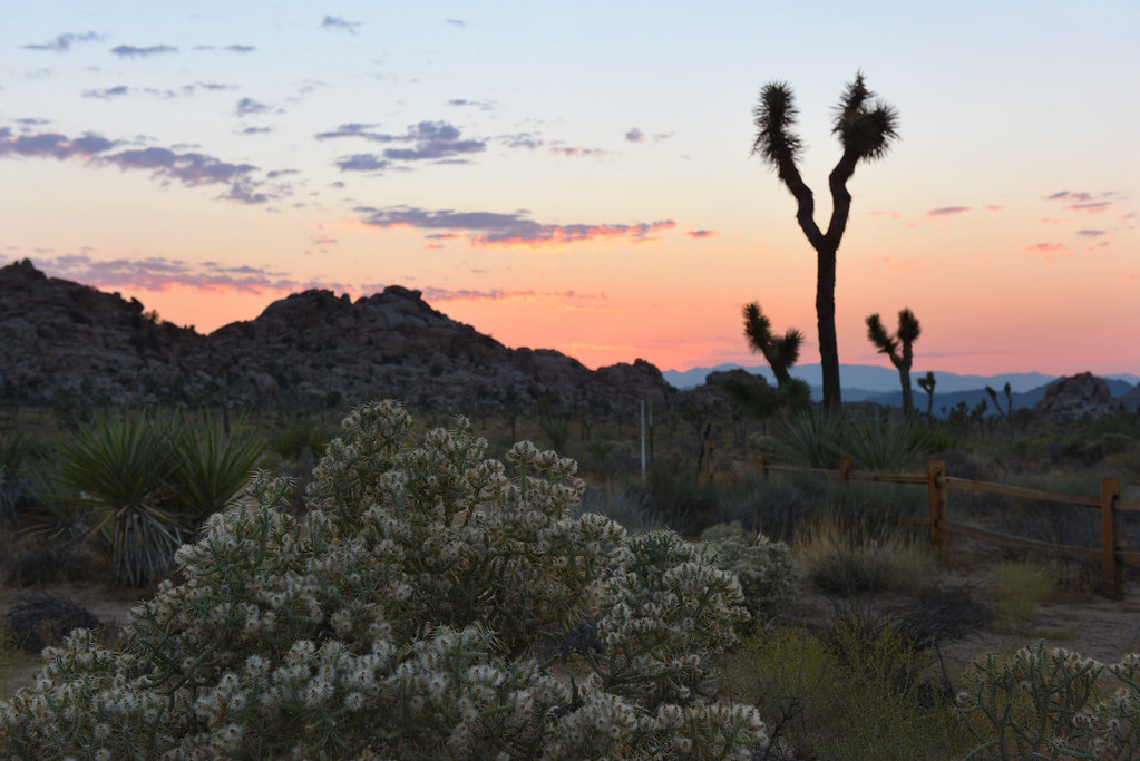 Sunset near Hidden Valley Campground