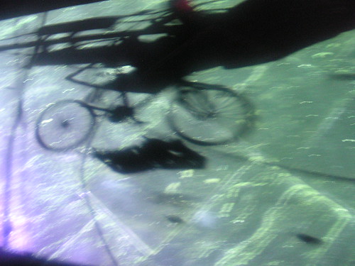 shadow 4