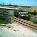 graffiti-trirail7