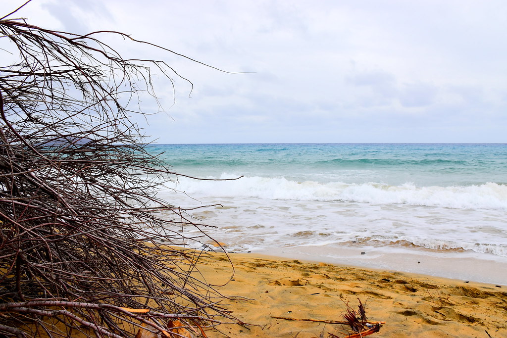 Porto Santo (3)