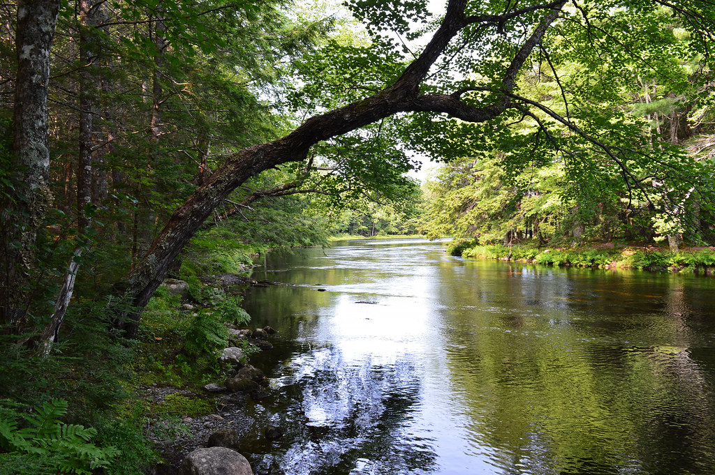 On the Banks of Mersey River