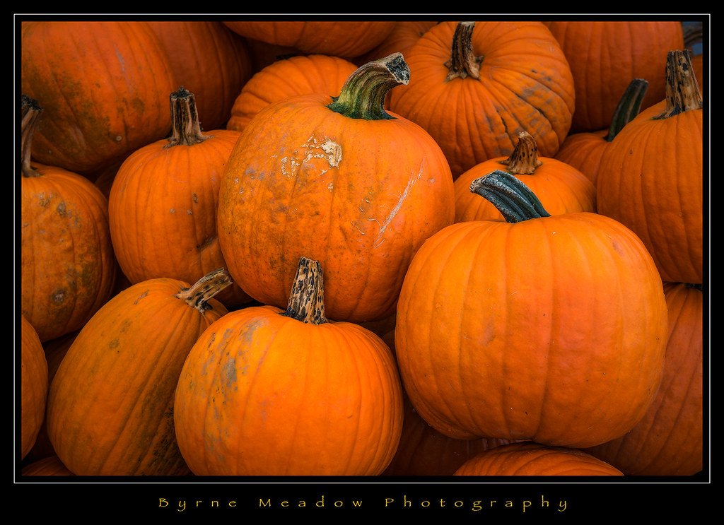 It's The Great Pumpkin(s)