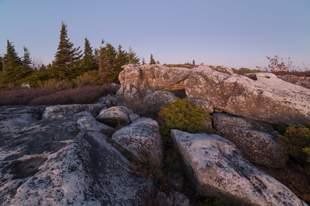 A Dolly Sods Ending